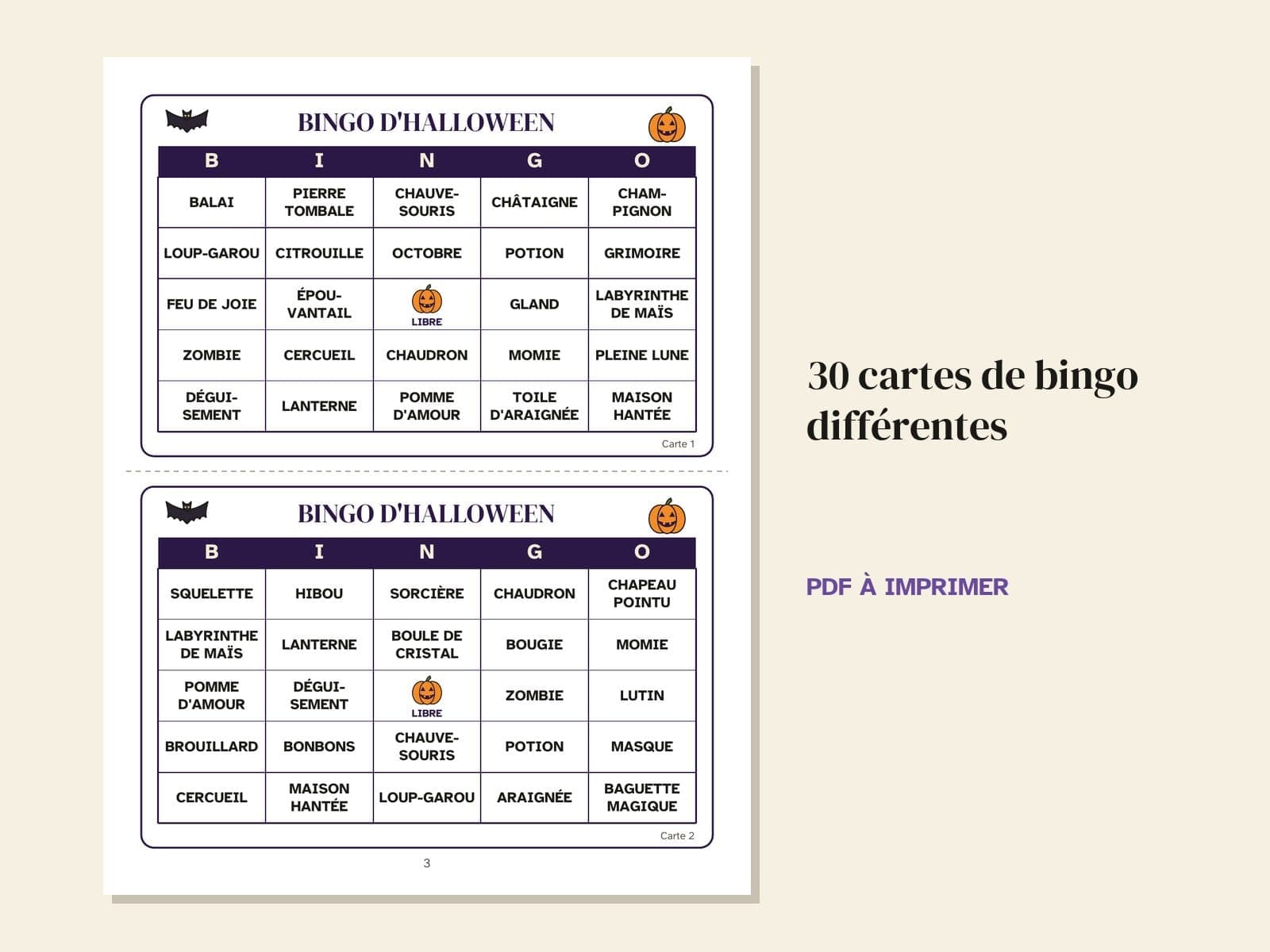 A page from the book: 30 different bingo cards