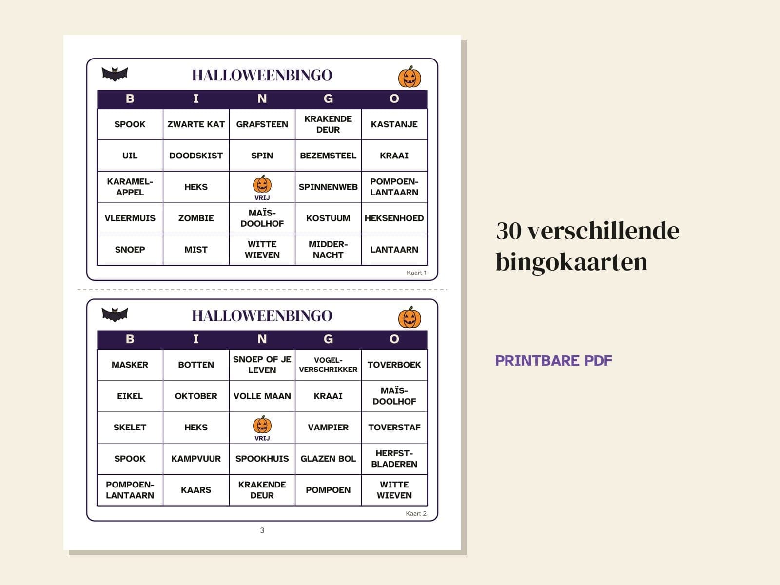 A page from the book: 30 different bingo cards