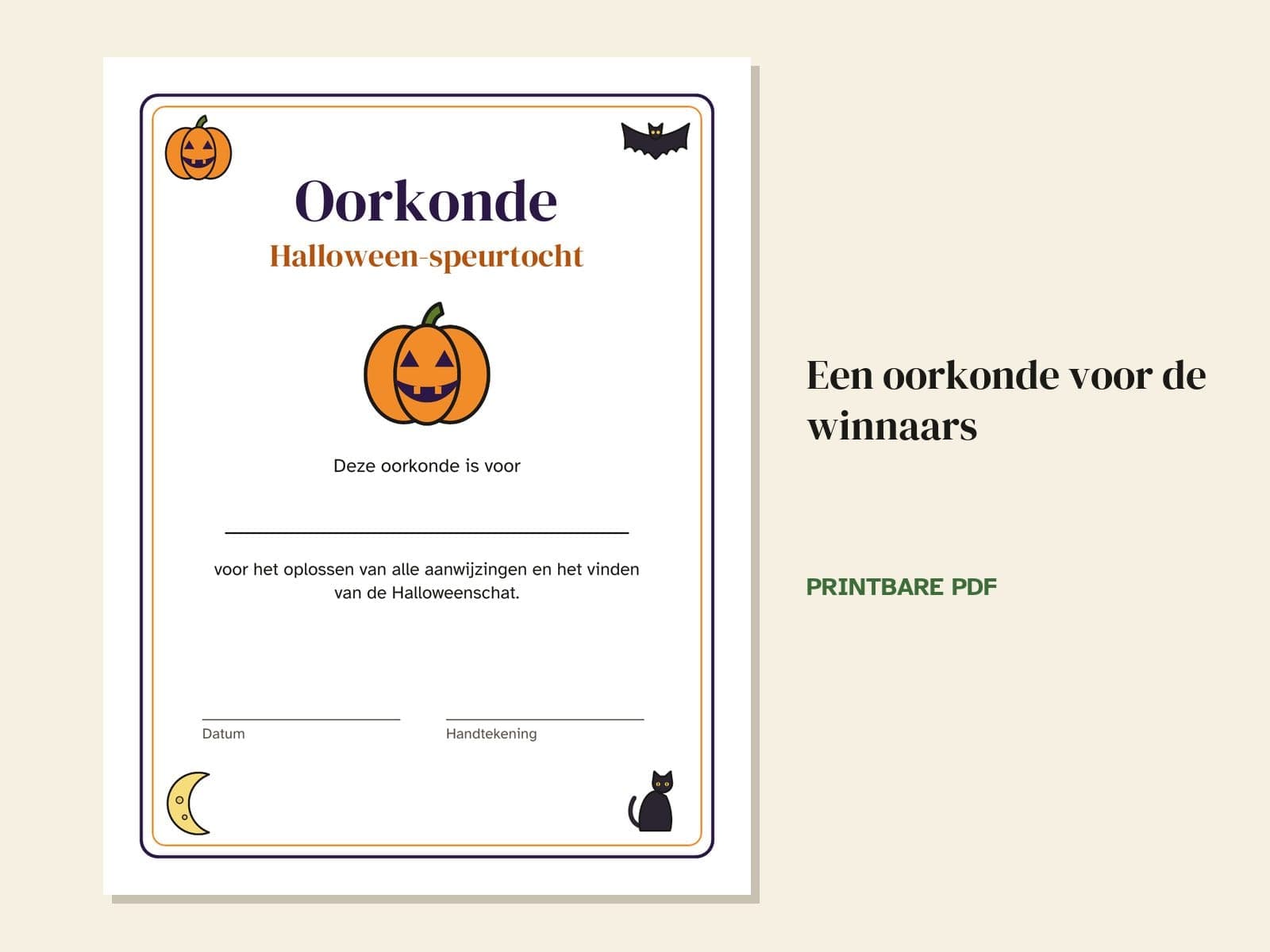 A page from the book: a certificate for the winners