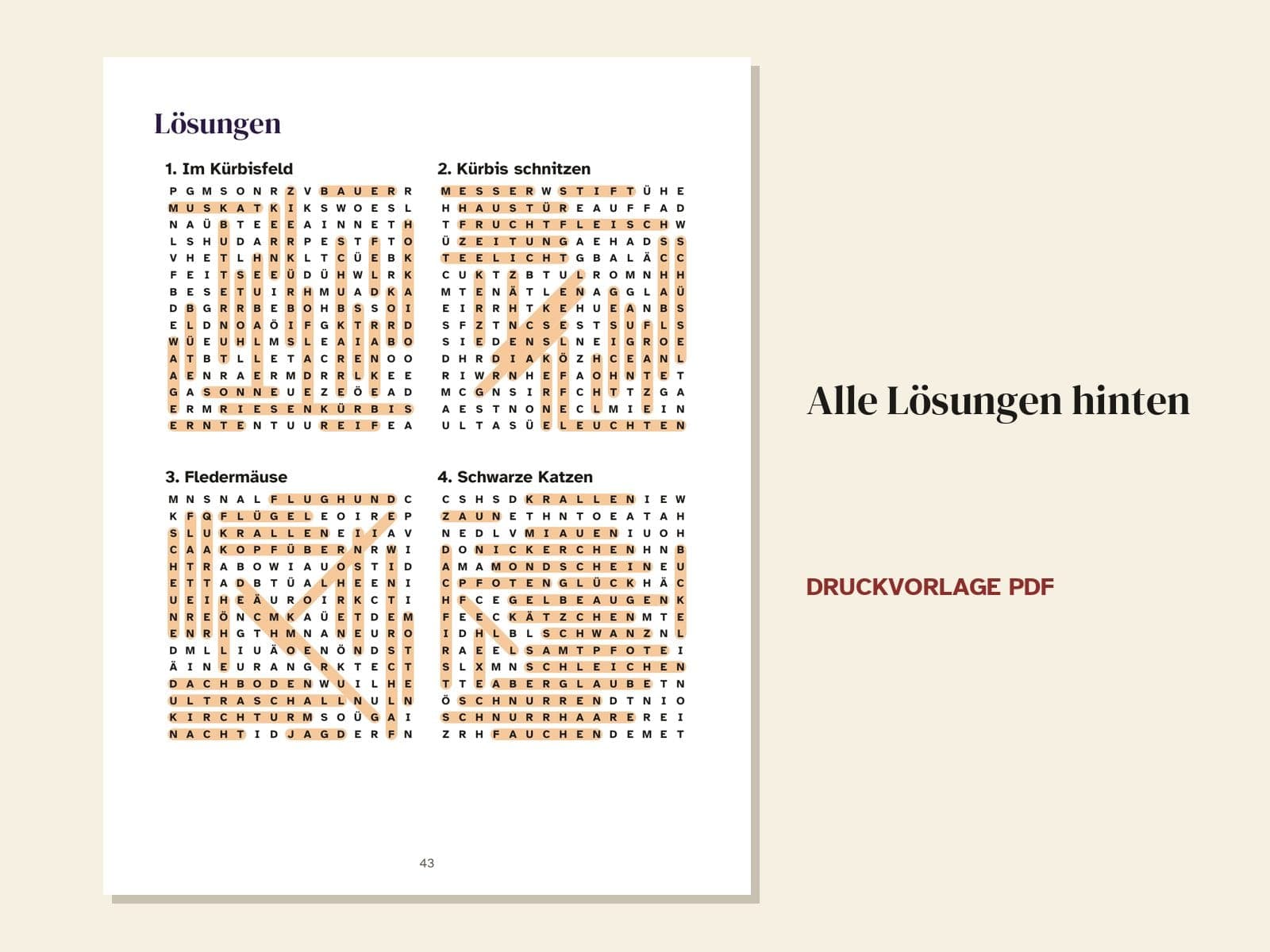 Een pagina uit het boek: alle oplossingen achterin