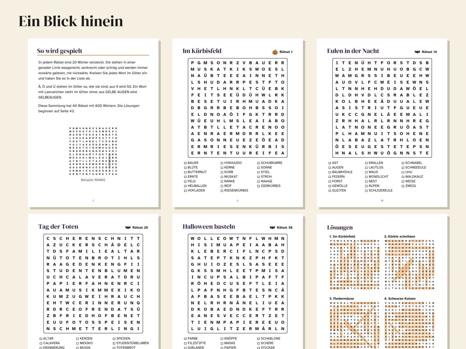 Zes pagina's uit het boek, verkleind