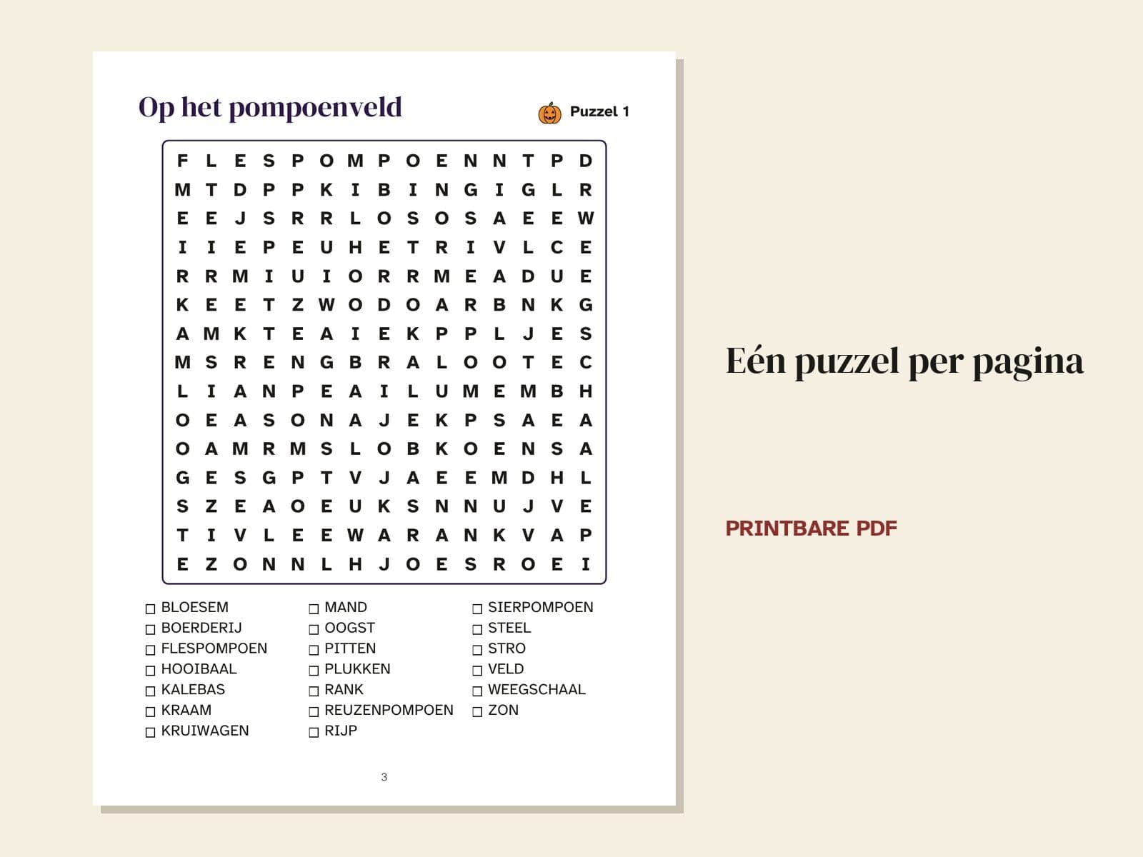 Eine Seite aus dem Heft: ein Rätsel pro Seite